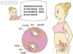 怀孕2个月了,怀孕两个月，探索早期妊娠的奇妙旅程