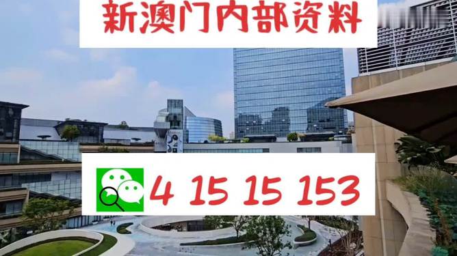 新澳门内部一码精准公开,警惕新澳门内部一码精准公开的潜在风险——揭露其背后的犯罪问题