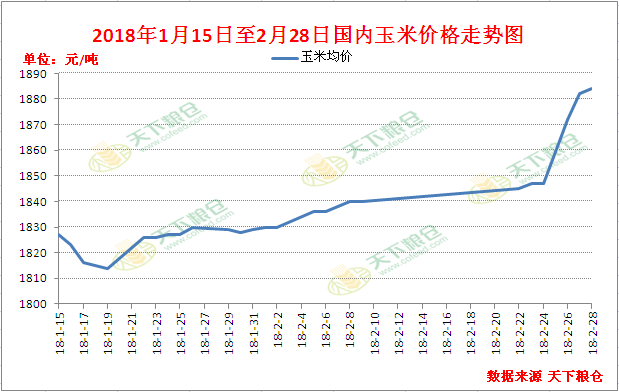 玉米价格最新行情,玉米价格最新行情分析