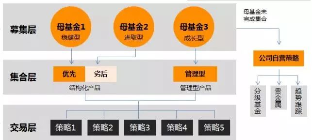 澳门王中王100%期期中,澳门王中王期期中与犯罪问题探究