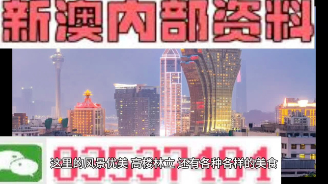 2024年新澳门夭夭好彩,新澳门夭夭好彩——探寻未来的繁荣与机遇