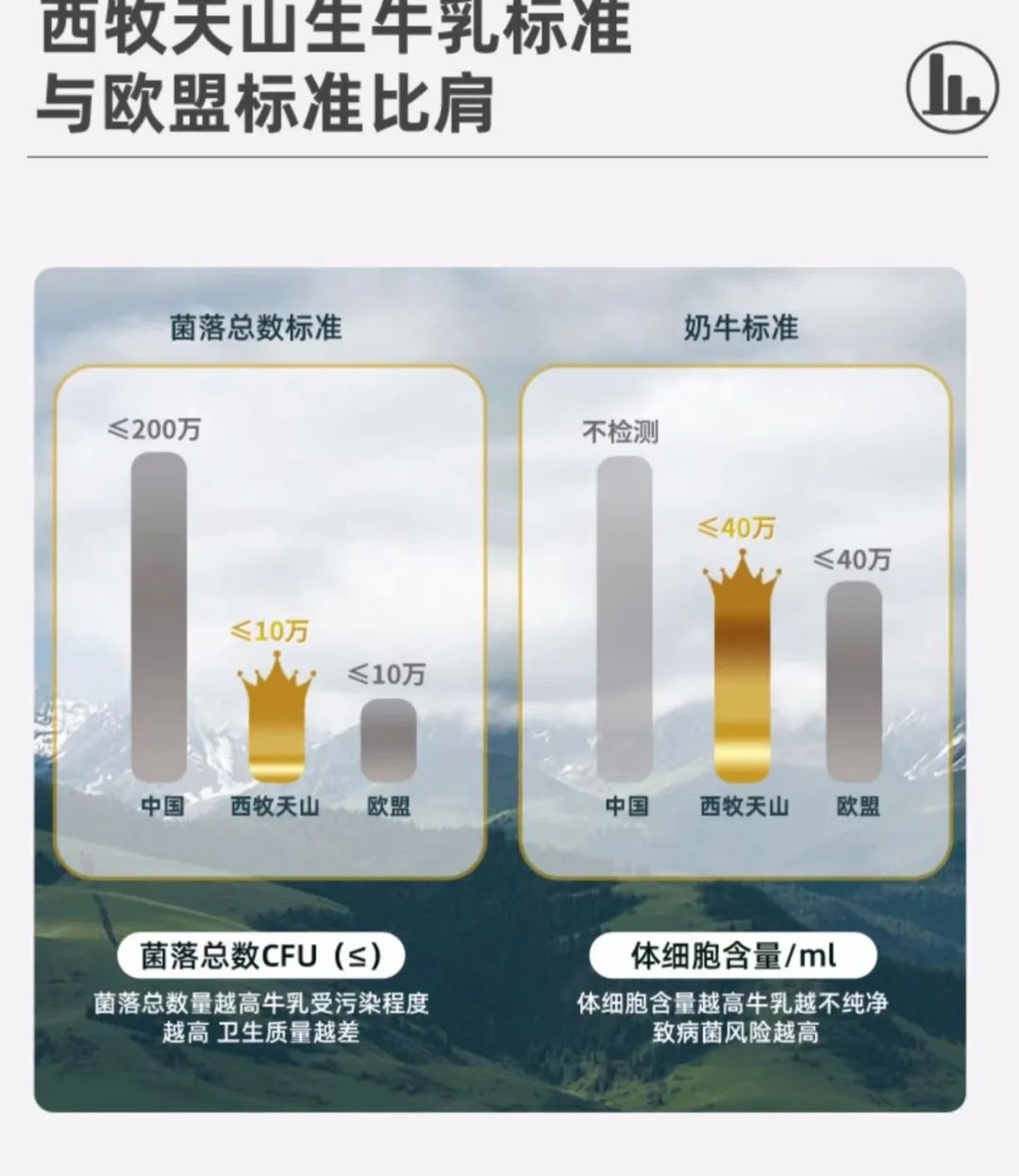 澳门王中王100%正确答案最新章节,澳门王中王100%正确答案最新章节揭秘