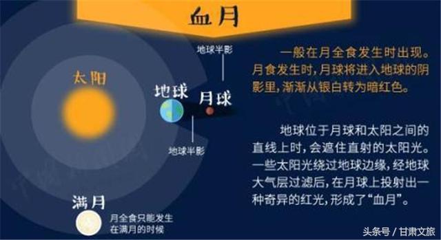 2024新奥今晚开什么213期,持续改进策略_投影版26.611