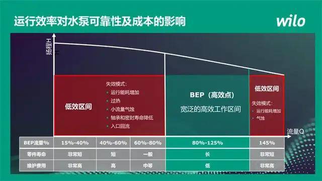 澳门单双期期准,方案优化实施_按需版56.253