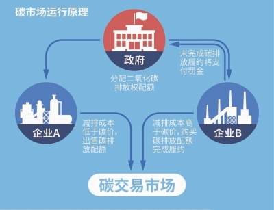 2024正版资料免费公开内,创新策略执行_随身版58.873