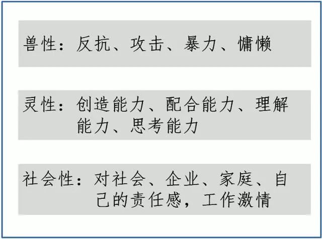 三肖必中特三肖必中_高效释义解释落实,关于三肖必中特三肖必中，高效释义、解释与落实的探讨——一个关于违法犯罪问题的深度解析