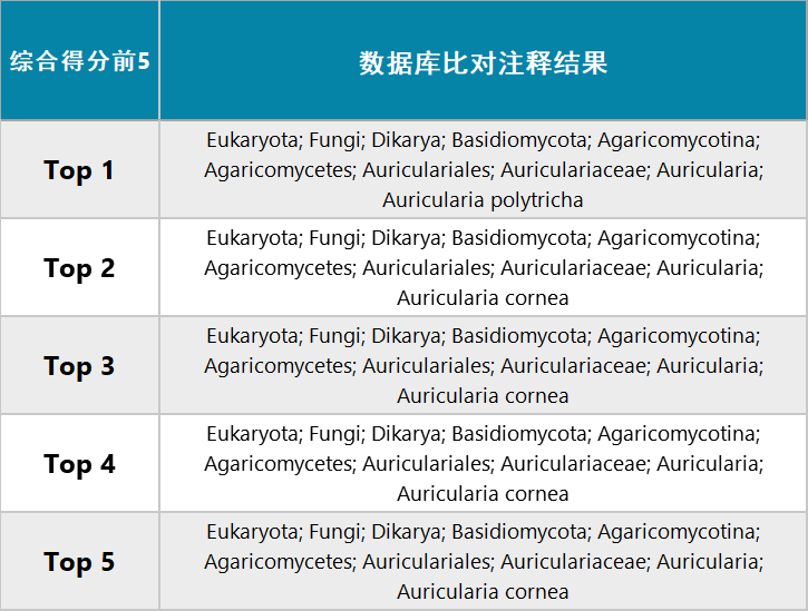 二四六944cc246免费资料大全|机动释义解释落实,二四六944cc246免费资料大全与机动释义解释落实