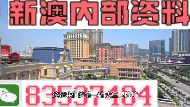 2024新澳门精准资料免费|精良释义解释落实,新澳门精准资料免费与精良释义解释落实的探讨