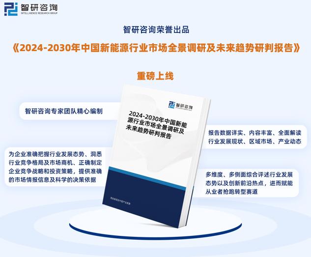 2024新奥精准免费|国内释义解释落实,新奥精准免费战略，国内释义、解释与落实之路