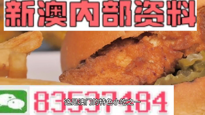 2024新澳精准正版资料109|精美释义解释落实,新澳精准正版资料解析与落实行动指南