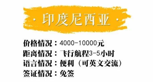 新奥十点半正版免费资料大全|丰富释义解释落实,新奥十点半正版免费资料大全，深入解析与全面释义