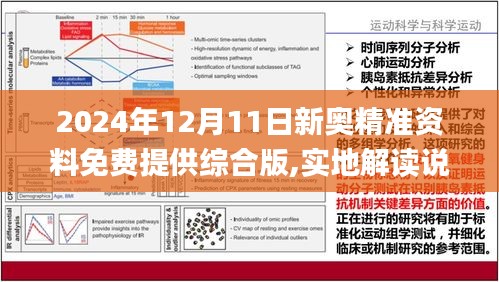 2024新奥资料免费49图库|财务释义解释落实,新奥资料免费图库，财务释义解释与落实策略