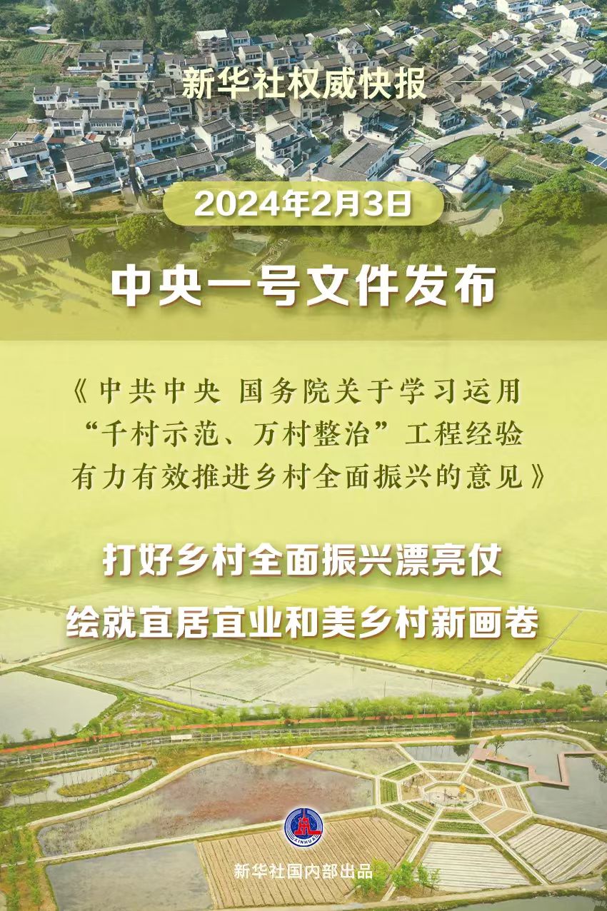 2024年正版四不像图|精妙释义解释落实,2024年正版四不像图，精妙释义与深入解读