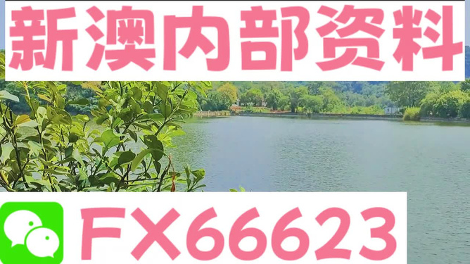 新澳精准资料期期精准|官方释义解释落实,新澳精准资料期期精准，官方释义解释与落实的深度探讨