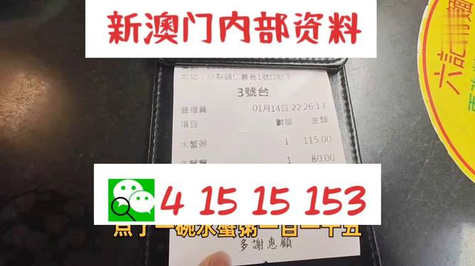 新澳门全年资料内部公开|迎难释义解释落实,新澳门全年资料内部公开，迎难释义、解释落实的探究