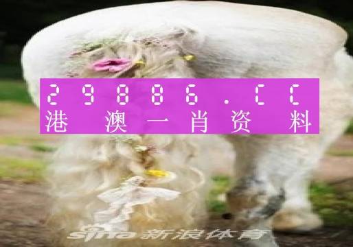 澳门火麒麟一肖一码2024|正式释义解释落实,澳门火麒麟一肖一码与未来的预测，正式释义、解释及落实展望（XXXX年）